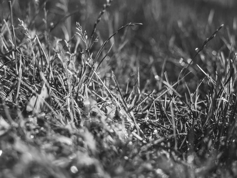 sudoku competition rules screenshot 5